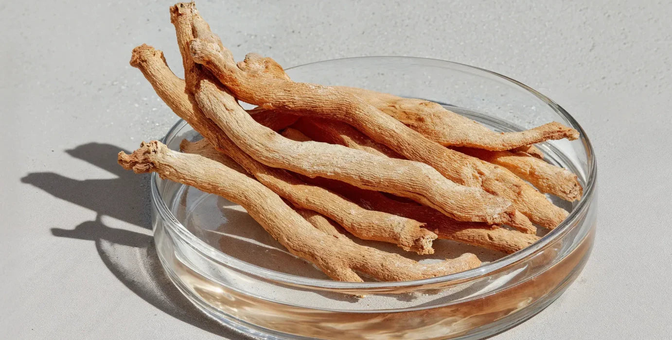 Ashwagandha - Die Besonderheiten der tropischen Pflanze