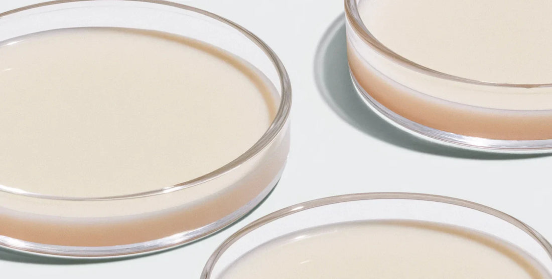 Calcium - Der wichtigste Mineralstoff für den Menschen