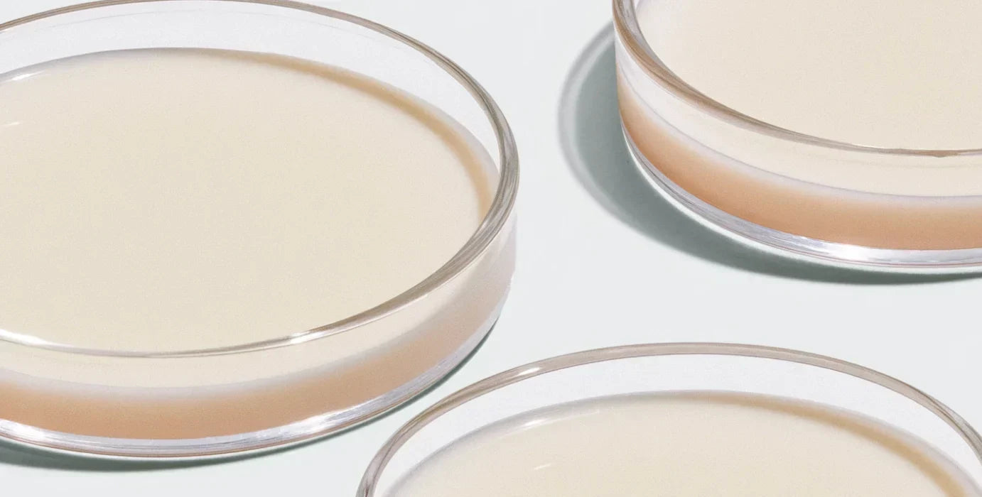 Calcium - Der wichtigste Mineralstoff für den Menschen