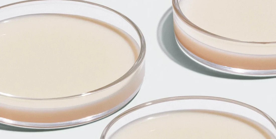 Calcium - Der wichtigste Mineralstoff für den Menschen