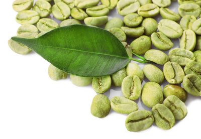 Grüner Kaffee – eine Bohne mit vielseitigen Inhaltsstoffen