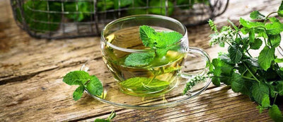 Grüner Tee zum Abnehmen – was ist dran an diesem Trend?