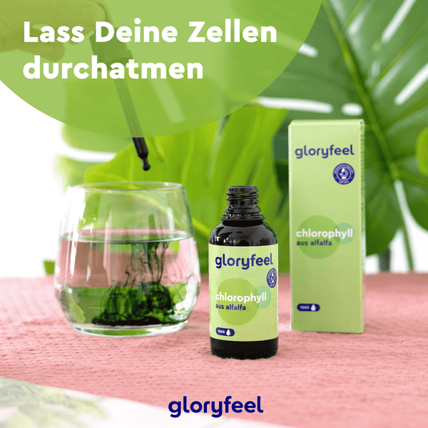 Eine Flasche und eine Schachtel Chlorophyll Tropfen der gloryfeel GmbH stehen auf einem Tisch. Mit einer Pipette wird das natürliche Chlorophyll-Extrakt aus der Alfalfa-Pflanze in ein Glas Wasser gegeben. Der Text lautet: „Lass Deine Zellen durchatmen.“.