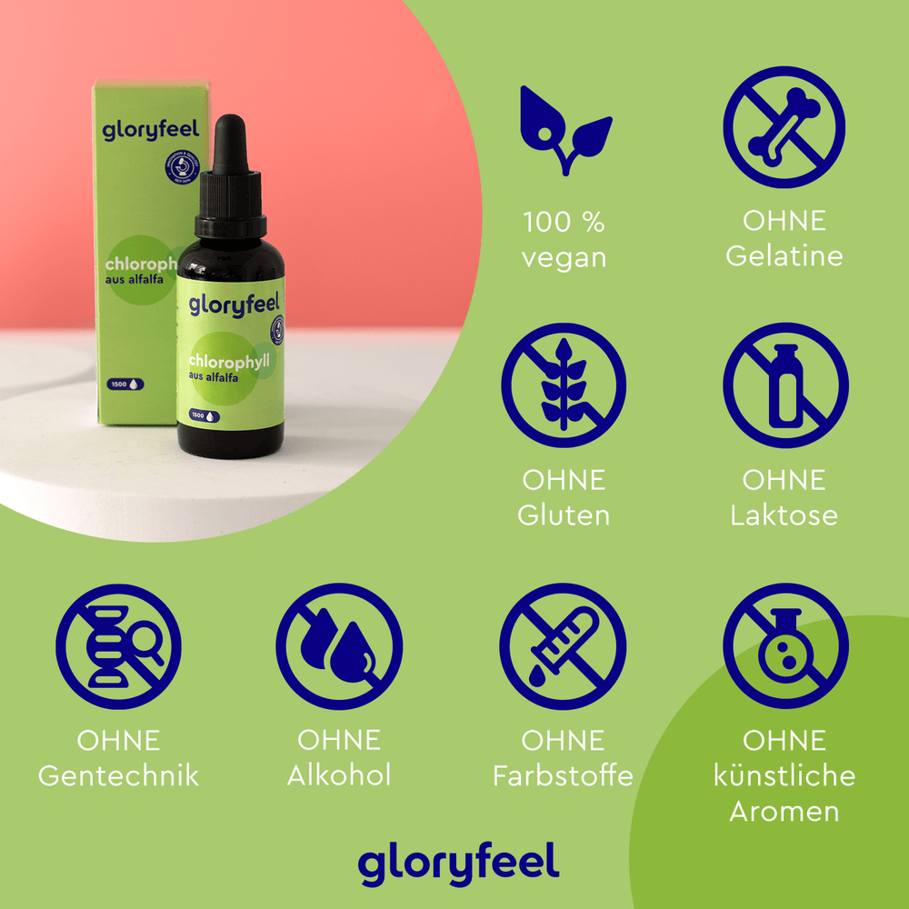 Eine grüne Flasche mit der Aufschrift „Chlorophyll Tropfen“ der gloryfeel GmbH steht neben einer Schachtel und unterstreicht deren vegane Reinheit. Hergestellt mit natürlichem Chlorophyll aus der Alfalfa-Pflanze, ist es frei von Gelatine, Gluten, Laktose, GVO, Alkohol, Farbstoffen und künstlichen Aromen.