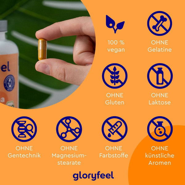 Eine Hand hält eine Flasche Bio Curcuma + Bio Ingwer Kapseln der gloryfeel GmbH; Icons zeigen an, dass sie vegan und frei von Gelatine, Gluten, Laktose, GVO, Magnesiumstearat, Farbstoffen und künstlichen Aromen ist.