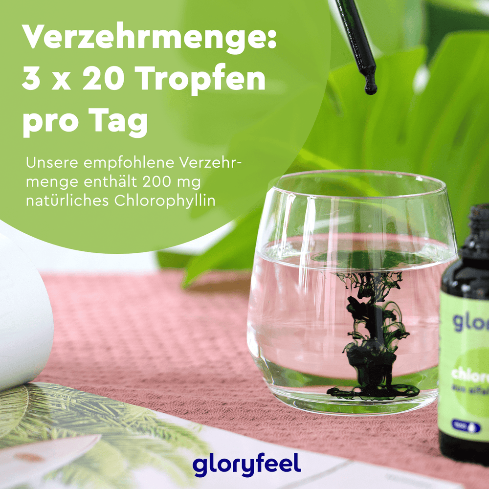 Präsentiert wird ein Glas Wasser mit Chlorophyll Tropfen der gloryfeel GmbH, wobei die Dosierung auf 3 x 20 Tropfen täglich (200 mg natürliches Chlorophyll) verwiesen wird. Im Hintergrund verstärken eine Flasche und üppige tropische Blätter die natürliche Atmosphäre.