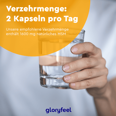MSM Kapseln