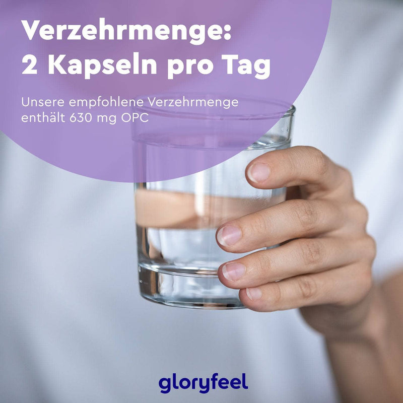 Eine Hand hält ein Glas Wasser, mit deutschem Text, der eine tägliche Einnahme von zwei Kapseln (630 mg OPC) von Premium OPC 180 Kapseln der gloryfeel GmbH empfiehlt.