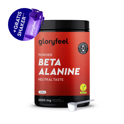 Eine 1000g Dose des gloryfeel GmbH Beta Alanin Pulvers, das als vegan gekennzeichnet ist, bietet 5000mg pro Portion und enthält einen kostenlosen lila Shaker plus weißen Messlöffel.