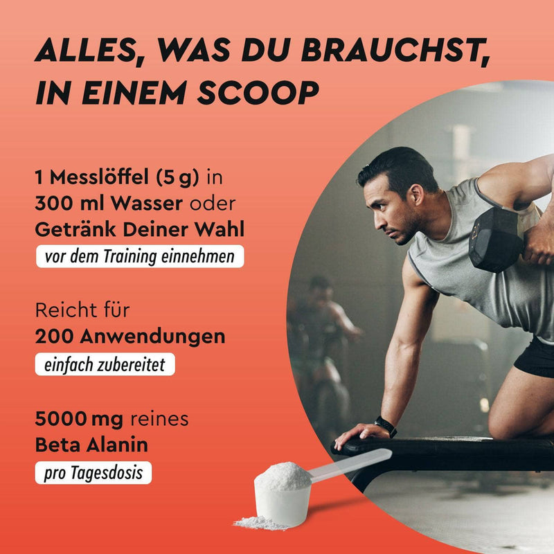 Beta Alanin Pulver Einnahme