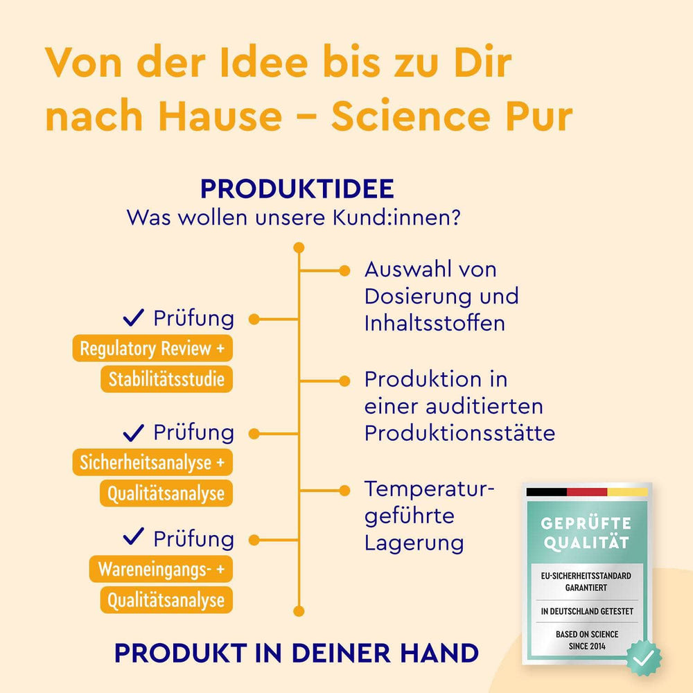 gloryfeel Produktentwicklung