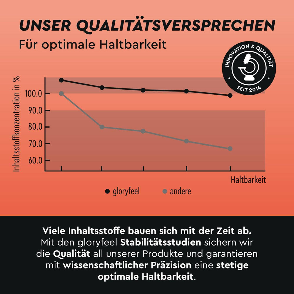 gloryfeel Sport Stabilitätsstudie