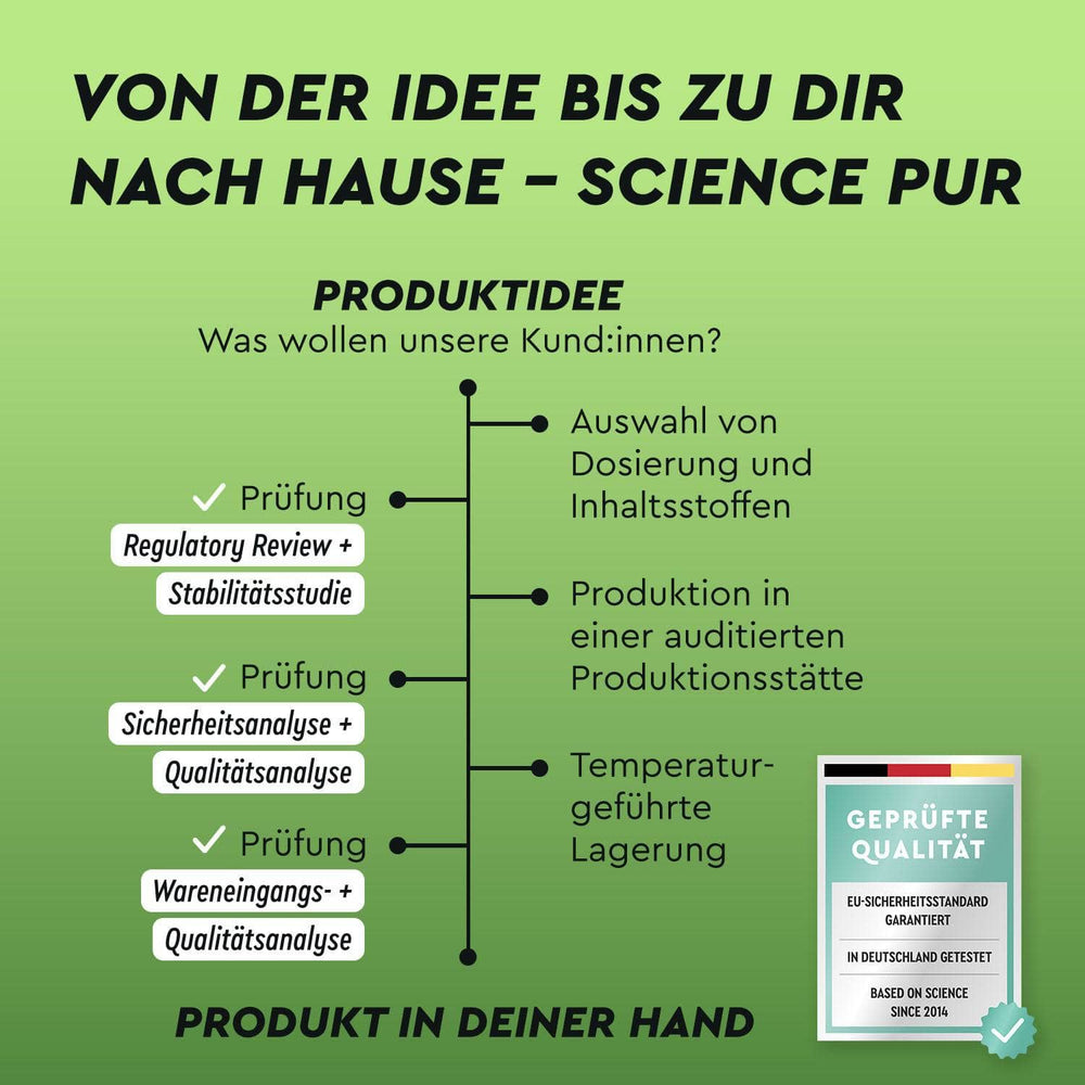 Grüntee Extrakt Kapseln Produktentwicklung
