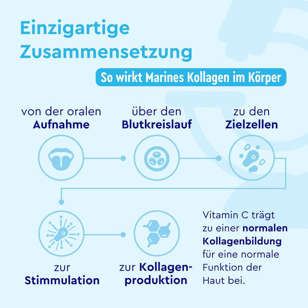 Marine Kollagen Pulver Zusammensetzung