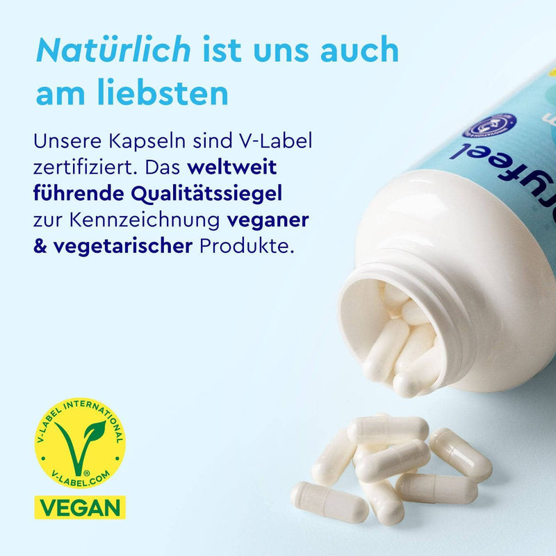 Mineralstoffe Vegan