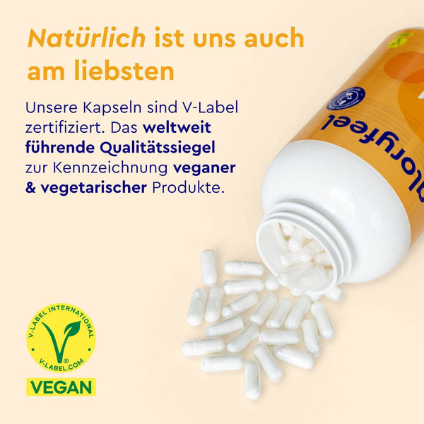 MSM Kapseln V-Label