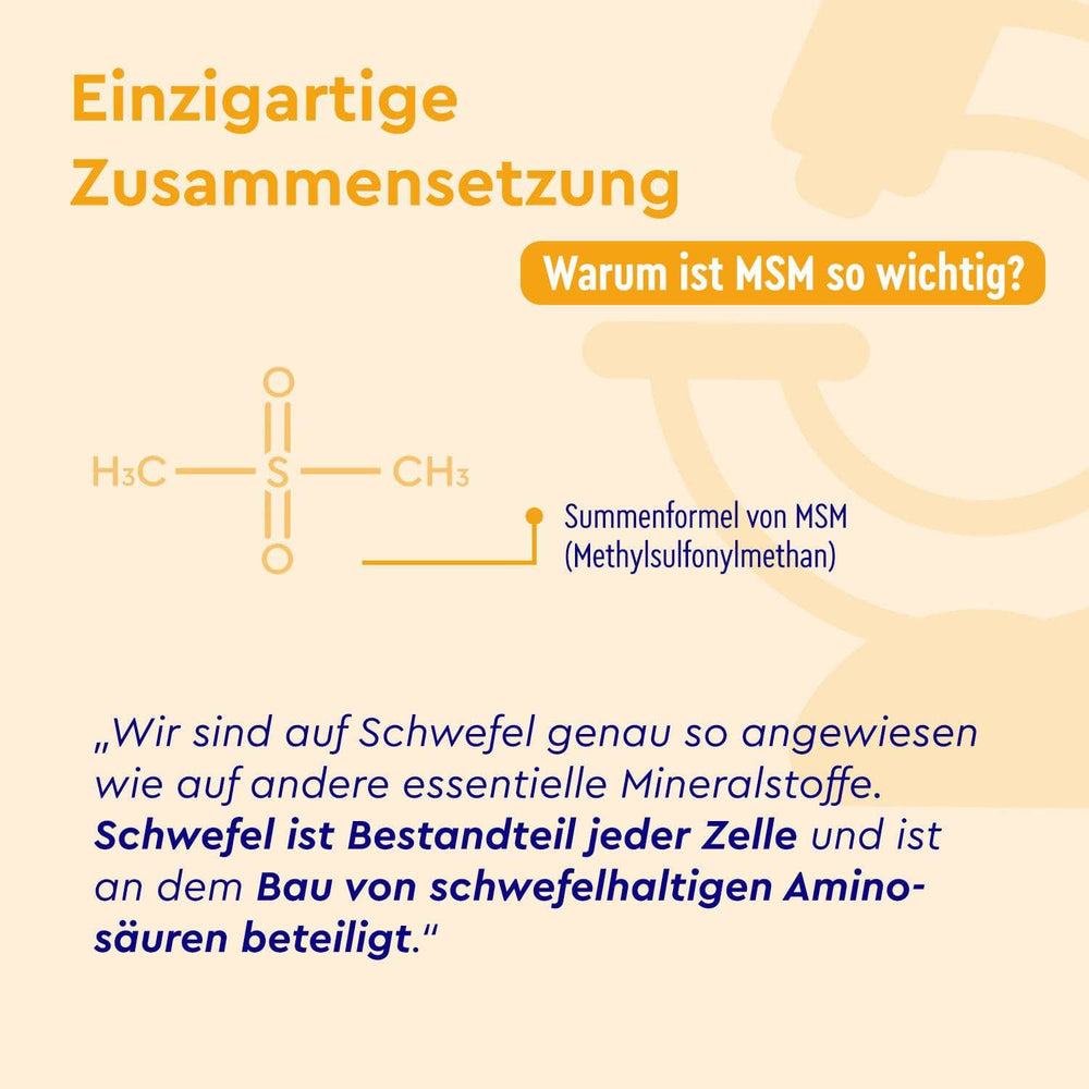 MSM Kapseln Zusammensetzung