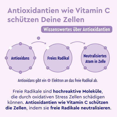 OPC Kapseln 360 mit Vitamin C Zusammensetzung
