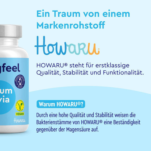 Eine Flasche mit der Aufschrift Probivia HOWARU® Kapseln&quot; der gloryfeel GmbH ist neben einem deutschen Text abgebildet, der HOWARU® als hochwertiges, stabiles und funktionelles Probiotikum mit lebenden Stämmen beschreibt, das vegan und säurefest ist.