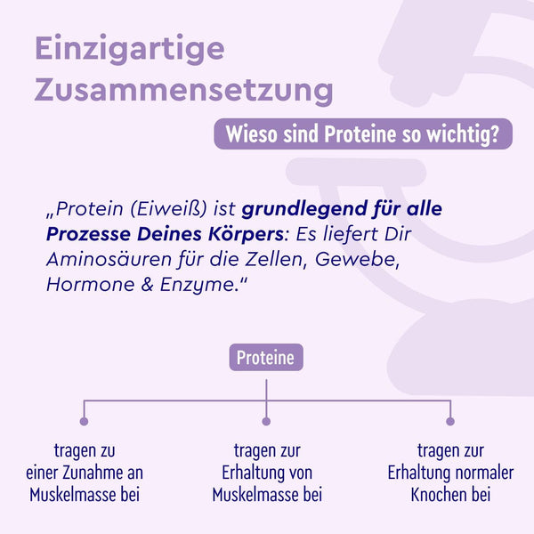 Proteinpulver Blaubeere Joghurt Zusammensetzung