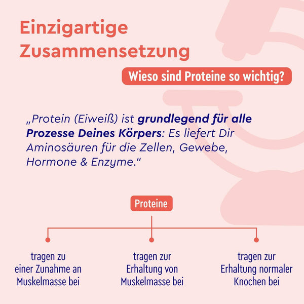 Proteinpulver Erdbeere Zusammensetzung
