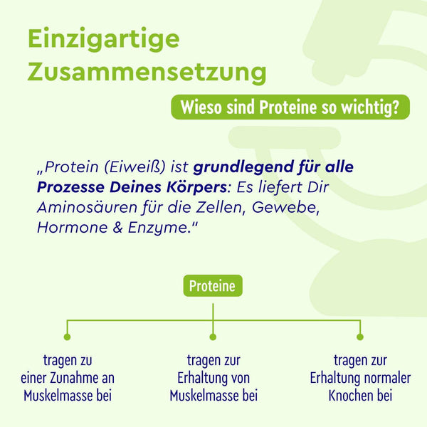 Proteinpulver Nougat Zusammensetzung