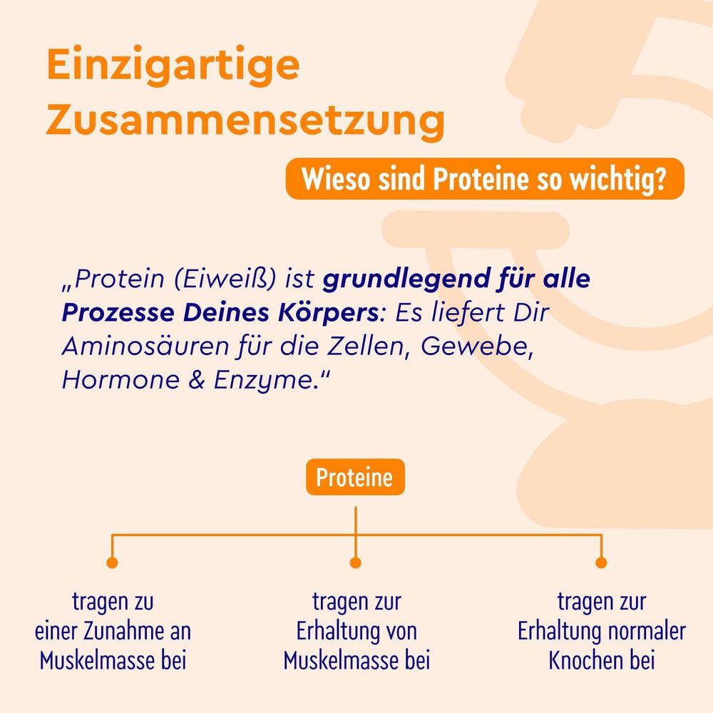 Proteinpulver Zimt Zusammensetzung